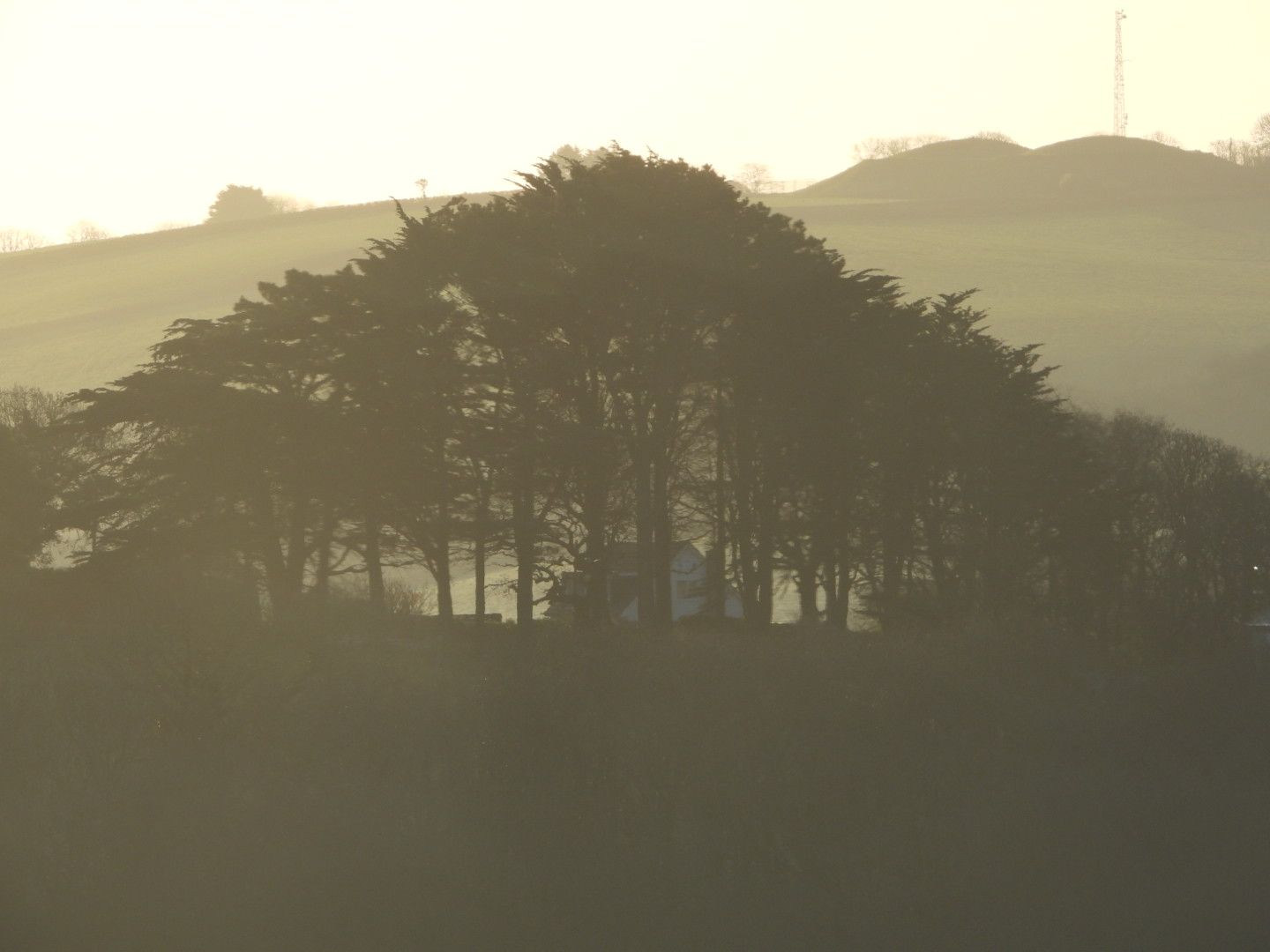 Misty hills at Crockwood Farm Well-being Retreat
